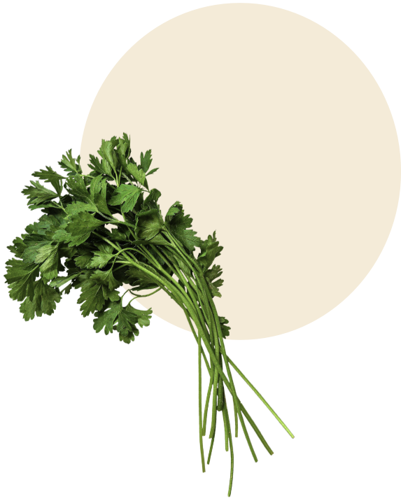 fresh leaf