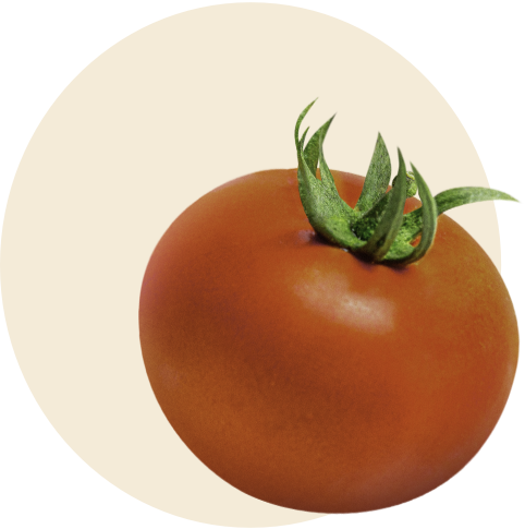 tomato